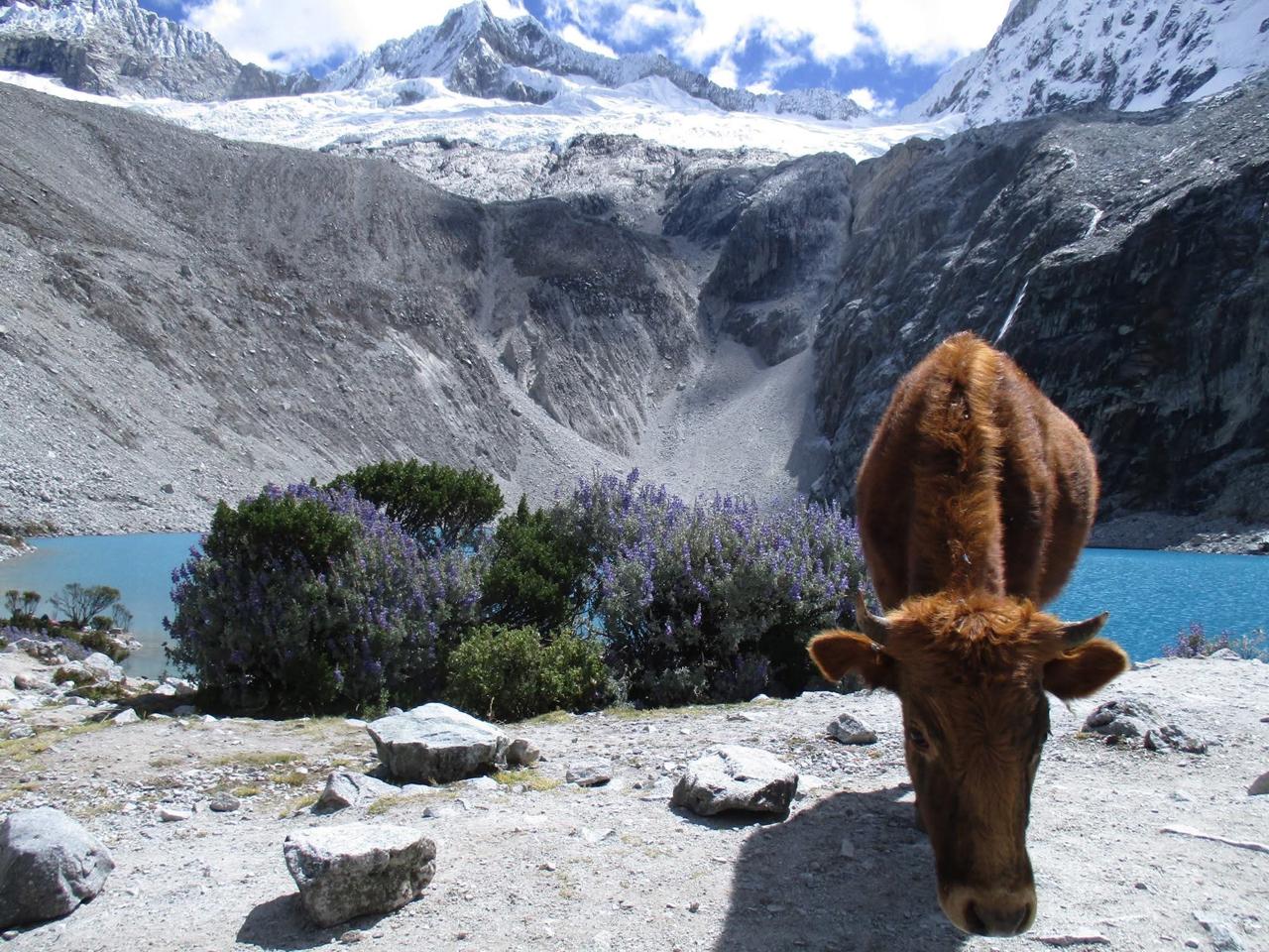 Huaraz