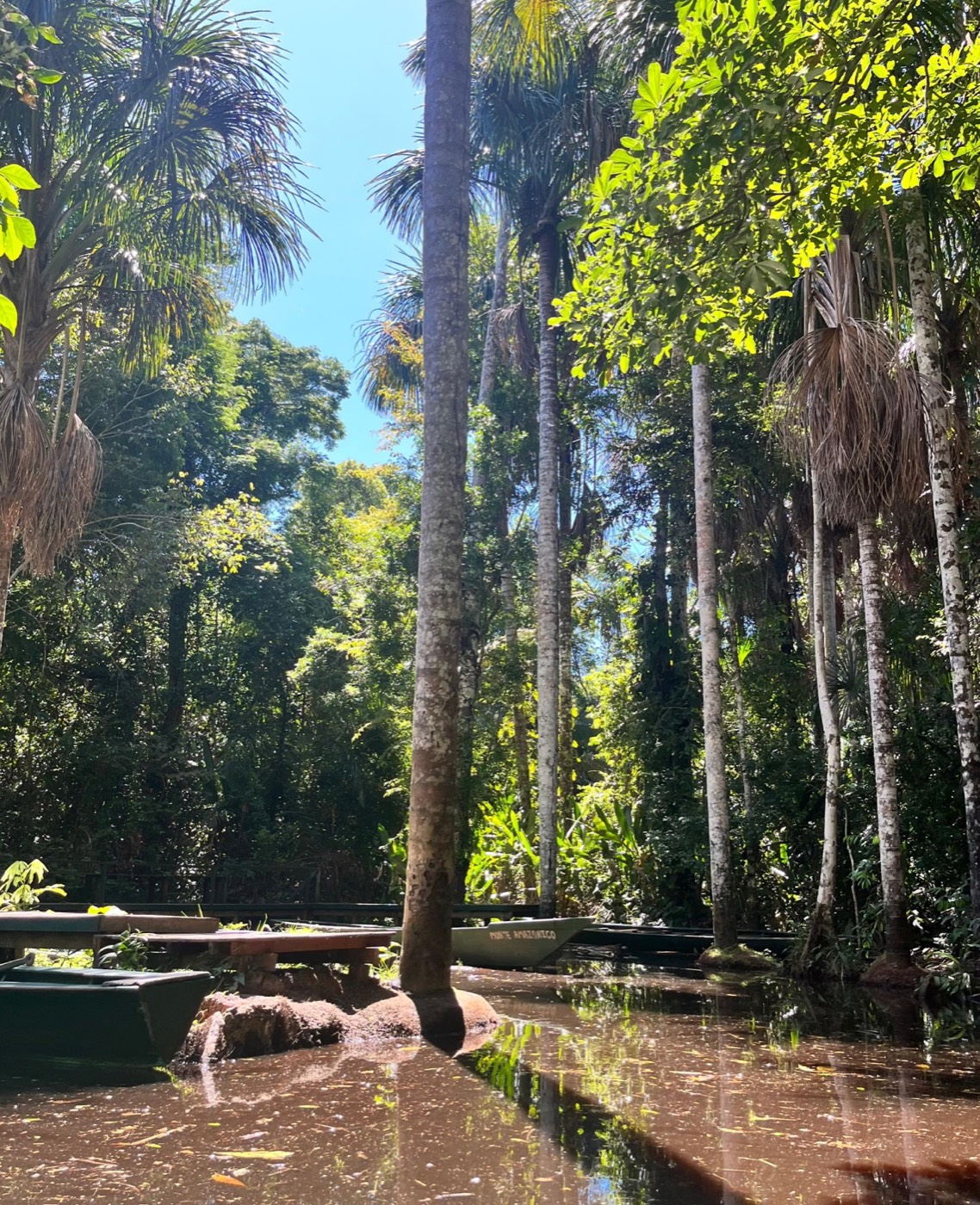 Tambopata